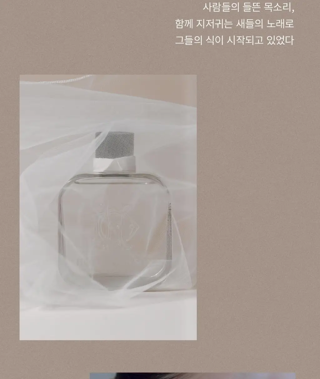 호텔도슨 디퓨저 프레스포샴페인 250ml [플로럴 파우더리 향] 상세페이지 11